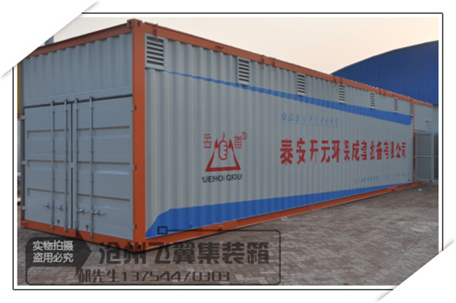 倉儲集裝箱  儲能集裝箱 包裝集裝箱生產廠家滄州飛翼集裝